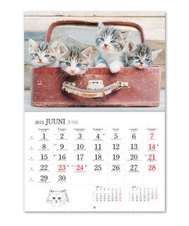 Cat calendar 3. picture