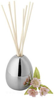 Deluxe fragrance diffuser